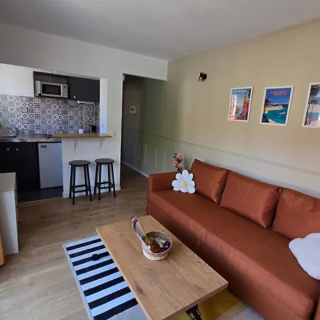 Avec Balcon A Deux Pas De La Apartment